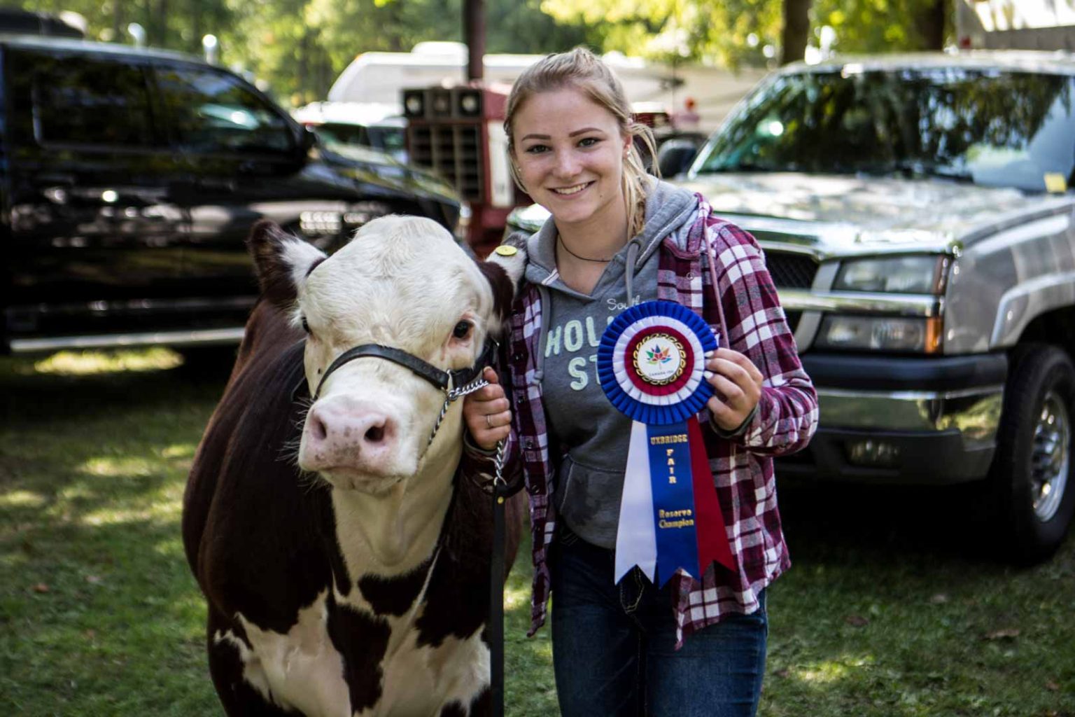 Beef Cattle Show | Uxbridge Fair