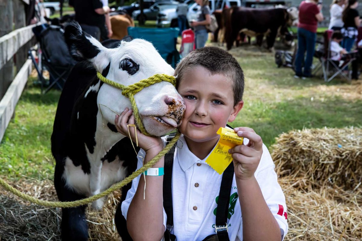 Junior cattle exhibitor at Uxbridge Fair