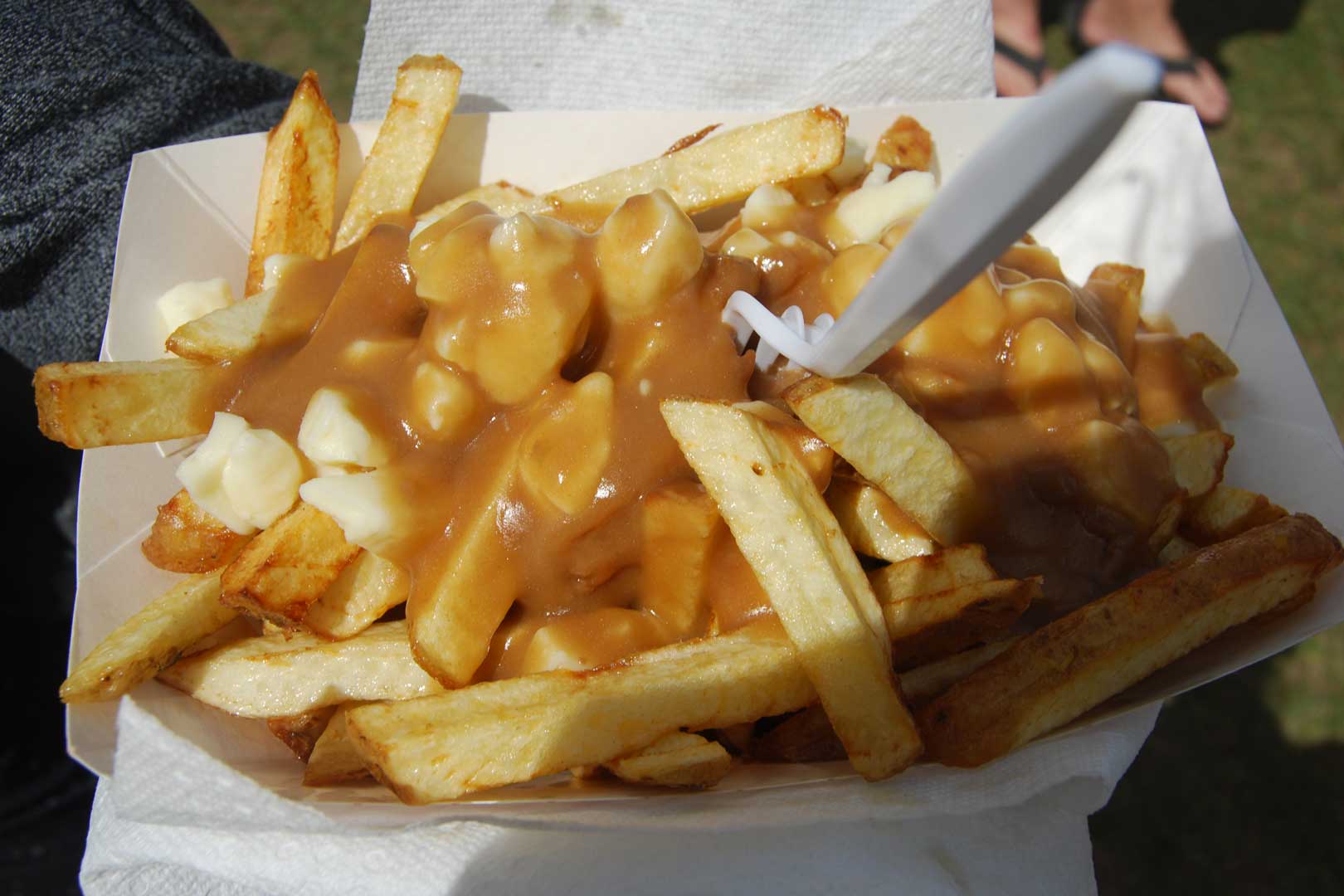 Food Vendors - fries with gravy