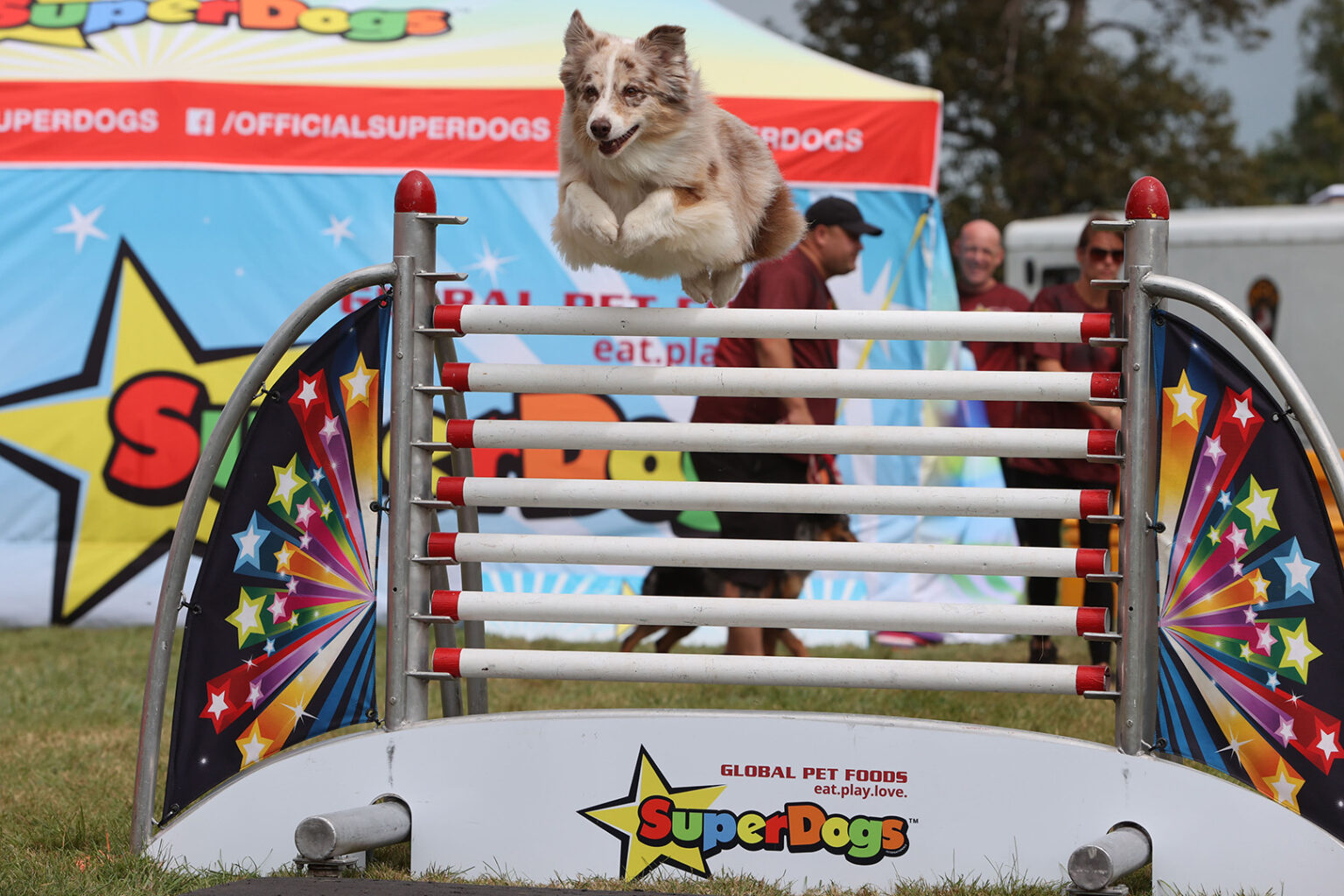 Global Pet Foods SuperDogs Uxbridge Fair